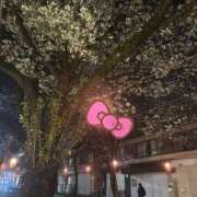 ヒメ日記 2026/03/24 20:55 投稿 めぐる 脱がされたい人妻 春日部店