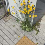 ヒメ日記 2026/04/19 20:44 投稿 めぐる 脱がされたい人妻 春日部店