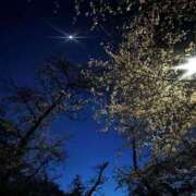 ヒメ日記 2025/04/05 18:33 投稿 ありさ Mrs Sirena（ミセスシレナ）