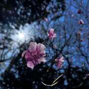 ヒメ日記 2025/04/30 10:29 投稿 ありさ Mrs Sirena（ミセスシレナ）