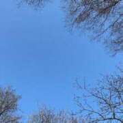 ヒメ日記 2025/05/22 11:28 投稿 ありさ Mrs Sirena（ミセスシレナ）