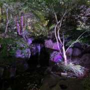 ヒメ日記 2025/07/15 09:28 投稿 ありさ Mrs Sirena（ミセスシレナ）