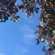 ヒメ日記 2026/03/11 17:29 投稿 ありさ Mrs Sirena（ミセスシレナ）