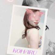 ヒメ日記 2025/01/31 14:42 投稿 小春(こはる) PLUS梅田店