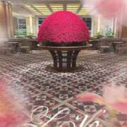 ヒメ日記 2025/02/09 13:42 投稿 小春(こはる) PLUS梅田店