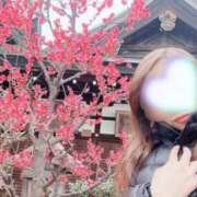 ヒメ日記 2025/03/06 11:02 投稿 小春(こはる) PLUS梅田店