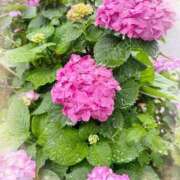 ヒメ日記 2025/06/04 10:22 投稿 小春(こはる) PLUS梅田店