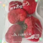 ヒメ日記 2026/03/11 14:52 投稿 小春(こはる) PLUS梅田店