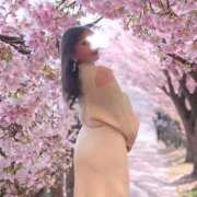 ヒメ日記 2026/03/23 11:12 投稿 小春(こはる) PLUS梅田店