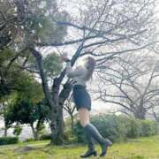 ヒメ日記 2026/03/30 12:02 投稿 小春(こはる) PLUS梅田店