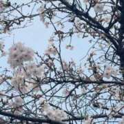 ヒメ日記 2026/04/01 00:12 投稿 小春(こはる) PLUS梅田店