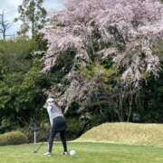 ヒメ日記 2026/04/03 11:42 投稿 小春(こはる) PLUS梅田店