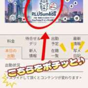 ヒメ日記 2026/09/04 14:52 投稿 小春(こはる) PLUS梅田店