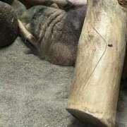 ヒメ日記 2025/07/10 23:59 投稿 わか sweet kiss