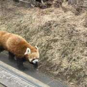 ヒメ日記 2025/08/12 13:39 投稿 わか sweet kiss