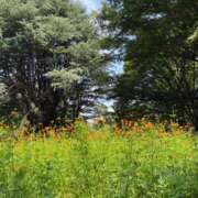 ヒメ日記 2025/09/23 10:29 投稿 わか sweet kiss