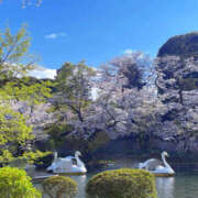 ヒメ日記 2025/04/06 18:00 投稿 さやか 風鈴（ふうりん）