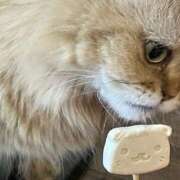 ヒメ日記 2025/04/23 00:15 投稿 さやか 風鈴（ふうりん）