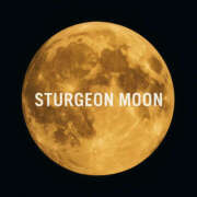 ヒメ日記 2025/08/09 13:00 投稿 さやか 風鈴（ふうりん）