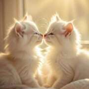 ヒメ日記 2025/08/17 20:28 投稿 さやか 風鈴（ふうりん）