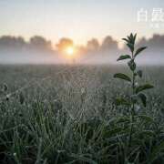 ヒメ日記 2025/09/07 12:26 投稿 さやか 風鈴（ふうりん）