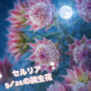 ヒメ日記 2025/09/21 02:50 投稿 さやか 風鈴（ふうりん）