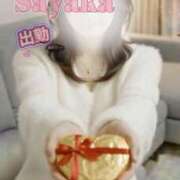 ヒメ日記 2026/02/14 12:52 投稿 さやか 風鈴（ふうりん）