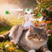 ヒメ日記 2026/02/22 13:00 投稿 さやか 風鈴（ふうりん）