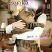 ヒメ日記 2026/03/05 12:58 投稿 さやか 風鈴（ふうりん）