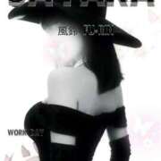 ヒメ日記 2026/03/13 12:50 投稿 さやか 風鈴（ふうりん）