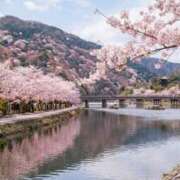 ヒメ日記 2026/04/05 01:28 投稿 さやか 風鈴（ふうりん）