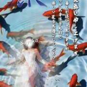 ヒメ日記 2026/07/14 23:44 投稿 さやか 風鈴（ふうりん）