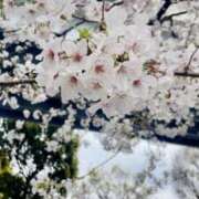 ヒメ日記 2025/04/09 22:00 投稿 みわ 東京人妻セレブリティ（ユメオト）