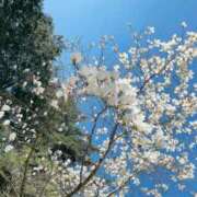 ヒメ日記 2025/05/10 23:00 投稿 みわ 東京人妻セレブリティ（ユメオト）