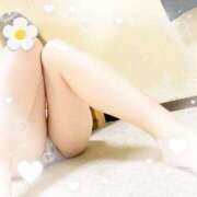 ヒメ日記 2026/01/06 05:37 投稿 あさみ◇ロリカワ巨乳美女◇ 東京ラブエッセンス
