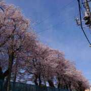 ヒメ日記 2025/02/04 05:46 投稿 180越えの女『ななお』 グッドスマイル