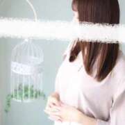 ヒメ日記 2026/03/29 19:34 投稿 和泉まりな(いずみまりな) 鶯谷ナンバーワン