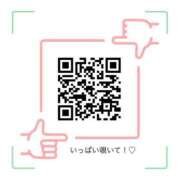 ヒメ日記 2025/08/21 15:28 投稿 金城レイラ 神戸ホットポイント