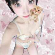 ヒメ日記 2025/10/26 12:57 投稿 金城レイラ 神戸ホットポイント