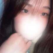 ヒメ日記 2025/02/01 23:52 投稿 桜めい 奴隷志願！変態調教飼育クラブ梅田店