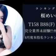 ヒメ日記 2025/09/05 11:57 投稿 桜めい 奴隷志願！変態調教飼育クラブ梅田店