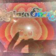 ヒメ日記 2025/10/08 15:38 投稿 白石 華恋人(カレント)