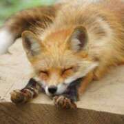 ヒメ日記 2025/11/20 17:33 投稿 白石 華恋人(カレント)