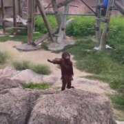 ヒメ日記 2026/01/10 08:34 投稿 白石 華恋人(カレント)