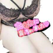 ヒメ日記 2025/03/16 11:09 投稿 るり ぽっちゃり巨乳専門店 町田相模原ちゃんこ