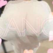 ヒメ日記 2026/03/25 12:11 投稿 佐野 BBW（ビッグビューティフルウーマン）