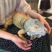 ヒメ日記 2025/04/08 19:33 投稿 ことの One More奥様　横浜関内店