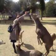 ヒメ日記 2025/04/21 21:45 投稿 ことの One More奥様　横浜関内店