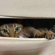 ヒメ日記 2025/04/29 12:05 投稿 ことの One More奥様　横浜関内店