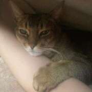 ヒメ日記 2025/05/14 16:34 投稿 ことの One More奥様　横浜関内店